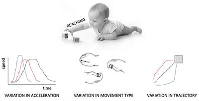 Telling Apart Motor Noise and Exploratory Behavior, in Early Development